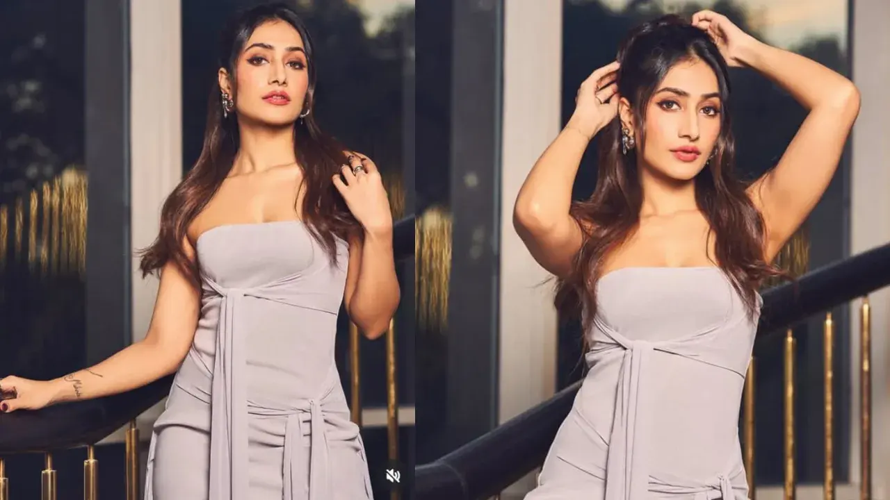  Dhanashree Verma  