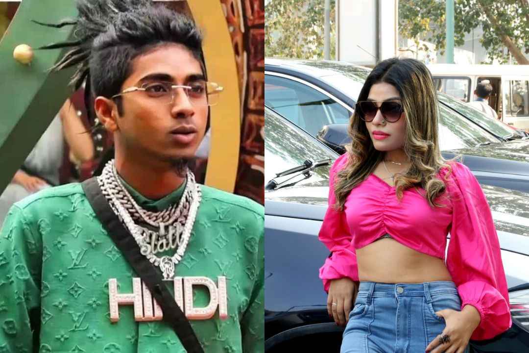 Big Boss 16 contestant MC Stan has a criminal history: Rayya Labib