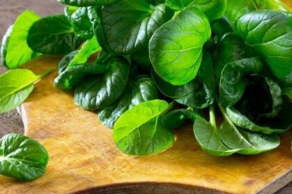Astounding Advantages of Green Spinach for Hair Growth