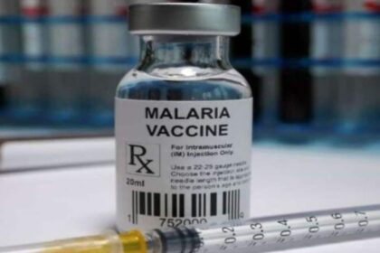 More about New Malaria Vaccine