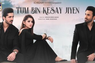 Tum Bin Kesay Jiyen(Series) Released Date, Cast, Director, Story, Budget and more...