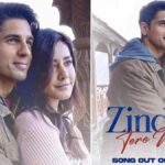We’re Left Wanting More After Watching The Teaser For Zindagi Tere Naam