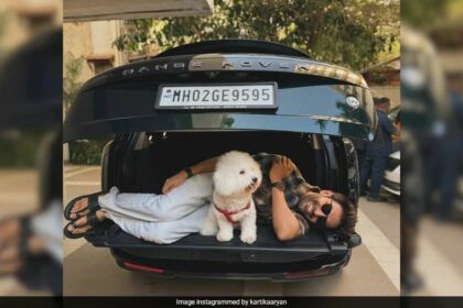 Celebration of Kartik Aaryan's Swanky New Car and His Social Media Post