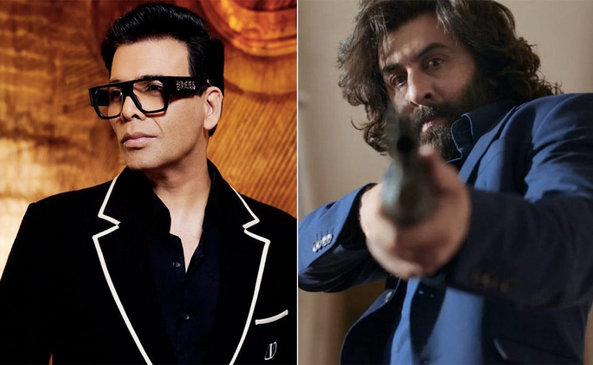 Karan Johar's Perspective on the Film 'Animal': An In-Depth Look