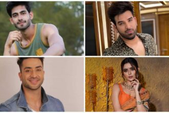 From the Front Lines of Love to the Entertainment Industry: MTV Splitsvilla’s Emerging Stars