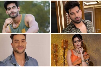 From the Front Lines of Love to the Entertainment Industry: MTV Splitsvilla’s Emerging Stars