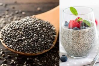 Chia Seeds The Best Summer Friend to Beat the Heat and Give You More Energy
