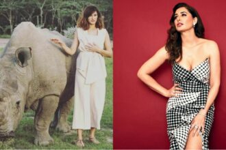 Nargis Fakhri says that before she entered Bollywood, she wanted to be this