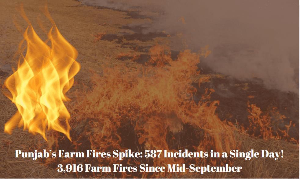 Punjab’s Farm Fires Spike: 587 Incidents in a Single Day! 3,916 Farm Fires Since Mid-September