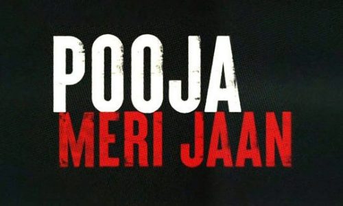 Pooja-Meri-Jaan-Announcement-Huma-Qureshi-Mrunal-Thakur-Dinesh-Vijan-Amar-Kaushik-540x405